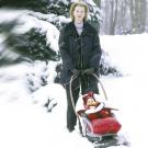 Snow Baby Dream